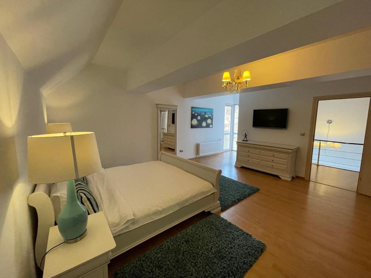 Kyra Luxury Penthouse Apartman Sinaia Kültér fotó